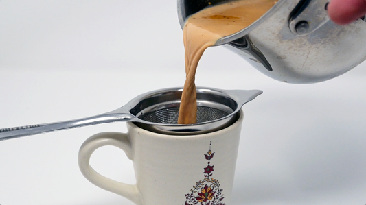 Premium Double-Mesh Strainer